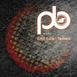 Artwork voor "Termikal"