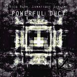 Artwork for "Powerful Duct"