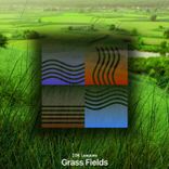 Artwork voor "Grass Fields"