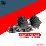 Artwork voor "Trap The Cat"