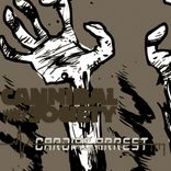 I Think I Want Some More