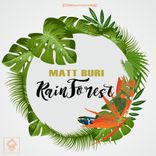 Artwork for "Rainforest"