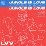 JAMAICAN SPACE PROGRAM