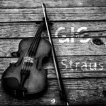Artwork for "Straus"