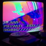 Portada para "Private Joke / Scrub"