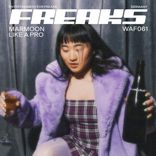 Artwork voor "Like A Pro"