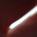 Artwork for "Alone / Nature Alert"