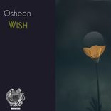 Artwork for "Wish"