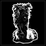 Portada para "Everybody"