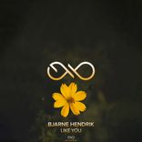 Portada para "Like You"