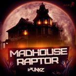 Artwork voor "Madhouse / Raptor"