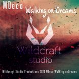 Artwork voor "Walking on Dreams"