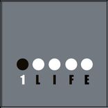 Portada para "Everybody Shake"