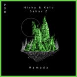 Artwork voor "Hamada"