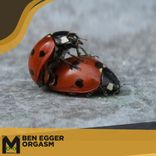 Artwork for "Orgasm"