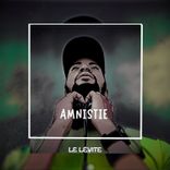 Artwork voor "AMNISTIE"