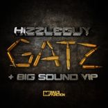 Artwork voor "Gatz / Big Sound VIP"