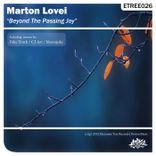 Beyond The Passing Joy