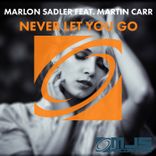 Artwork voor "Never Let You Go"