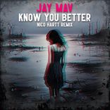Artwork for "Know You Better"