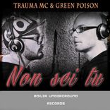 Artwork for "Non Sei Tu"