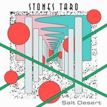 Artwork for "Salt Desert"