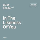 In The Likeness Of You