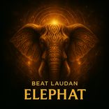 Artwork voor "Elephat"