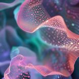 Artwork für "Hotaka"