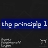 Artwork for "The Principle I"