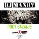 Artwork for "Poky Salvaje"
