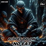 Portada para "Echoes Below"