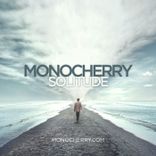 Artwork voor "Solitude"