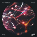 Artwork for "Evolvibe"