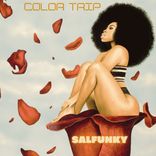 Artwork for "SalFunky"