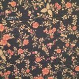 Artwork voor "Pisces"