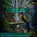 Portada para "Acidbus"