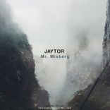 Artwork voor "Mr. Mistery"