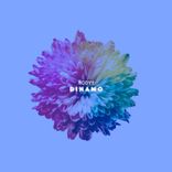 Dinamo