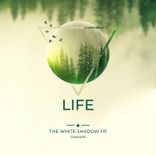 Portada para "Life"