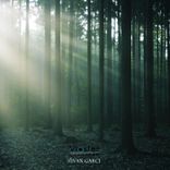 Artwork for "Passport"