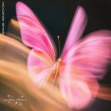 Artwork for "Resuscitation"