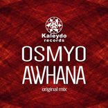 Artwork für "Awhana"