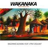 Artwork for "Wakanaka"
