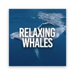 Artwork für "Relaxing Whales"