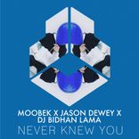 Artwork for "Never Knew You"