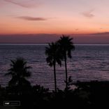 Artwork for "Summertime Sadness"