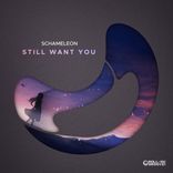 Artwork voor "Still Want You"