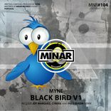 Artwork for "Black Bird V1"