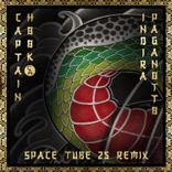 Artwork voor "Space Tube 25 (Indira Paganotto Remix)"